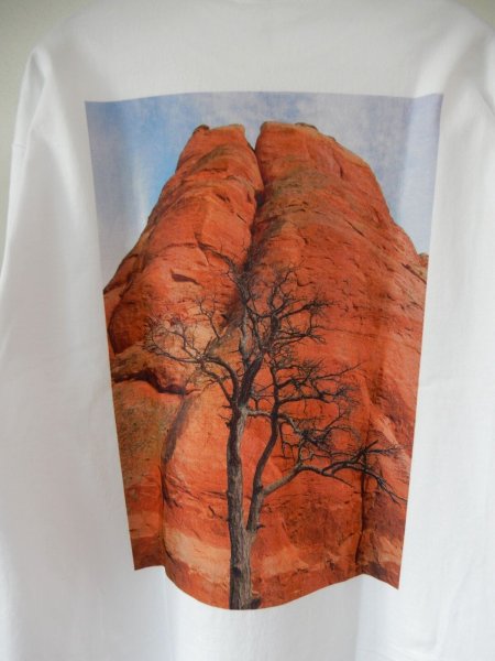 画像1: SPC  /  SEDONA PHOTO LONG T-Shirt (1)